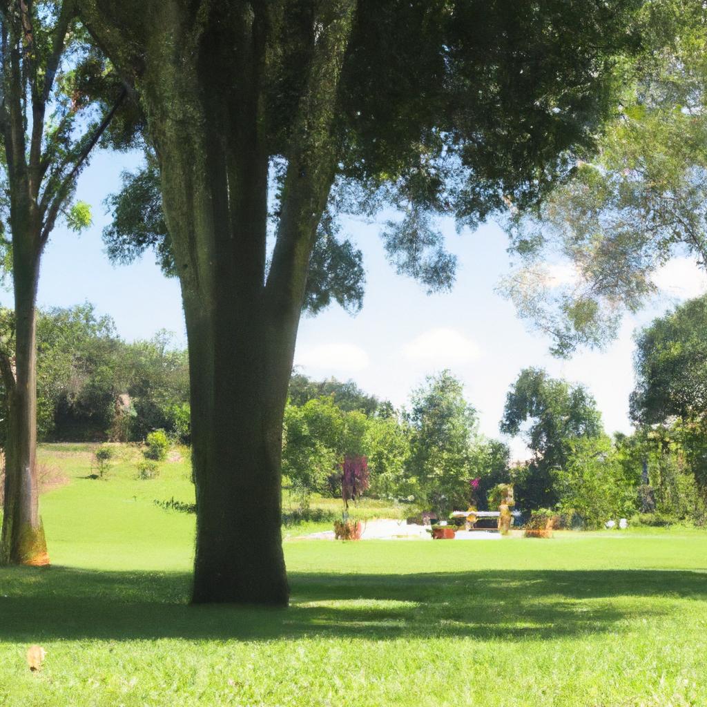 Benefícios da Jardinagem Urbana para o Meio Ambiente e para a Comunidade local